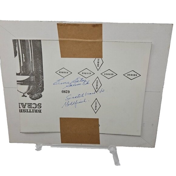 Vintage Erma Eaton Scratchboard Goldfinch Ohio Artist Butler Institute Award - Picture 7 of 8